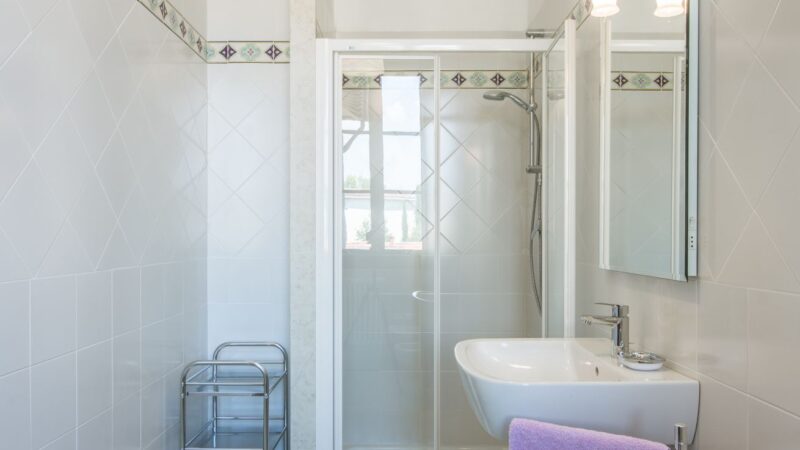 Apartment BLU bathroom detail: modern shower fixtures and towels